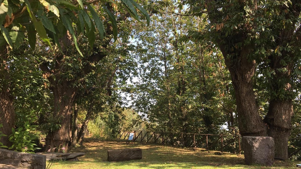 Photo of Outdoor in Milo
