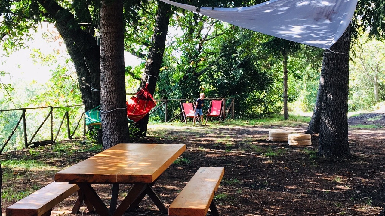 Photo of Outdoor in Milo