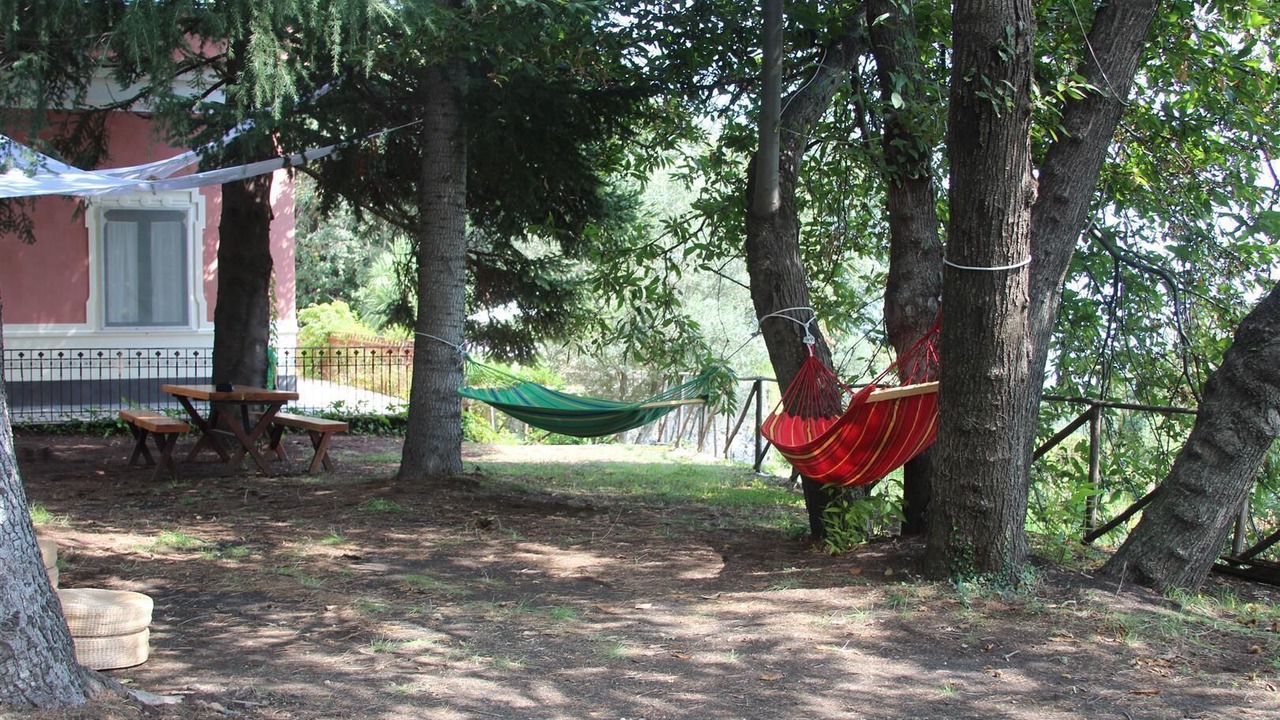 Photo of Outdoor in Milo