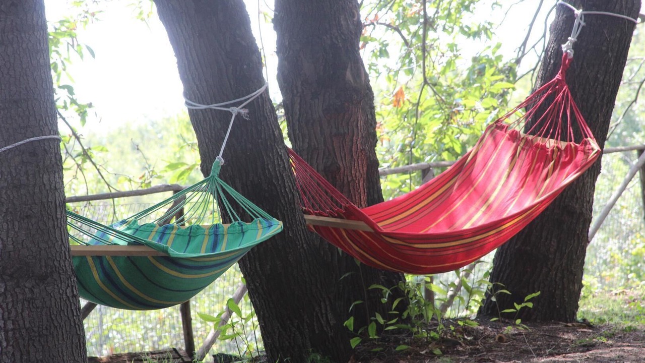 Photo of Outdoor in Milo