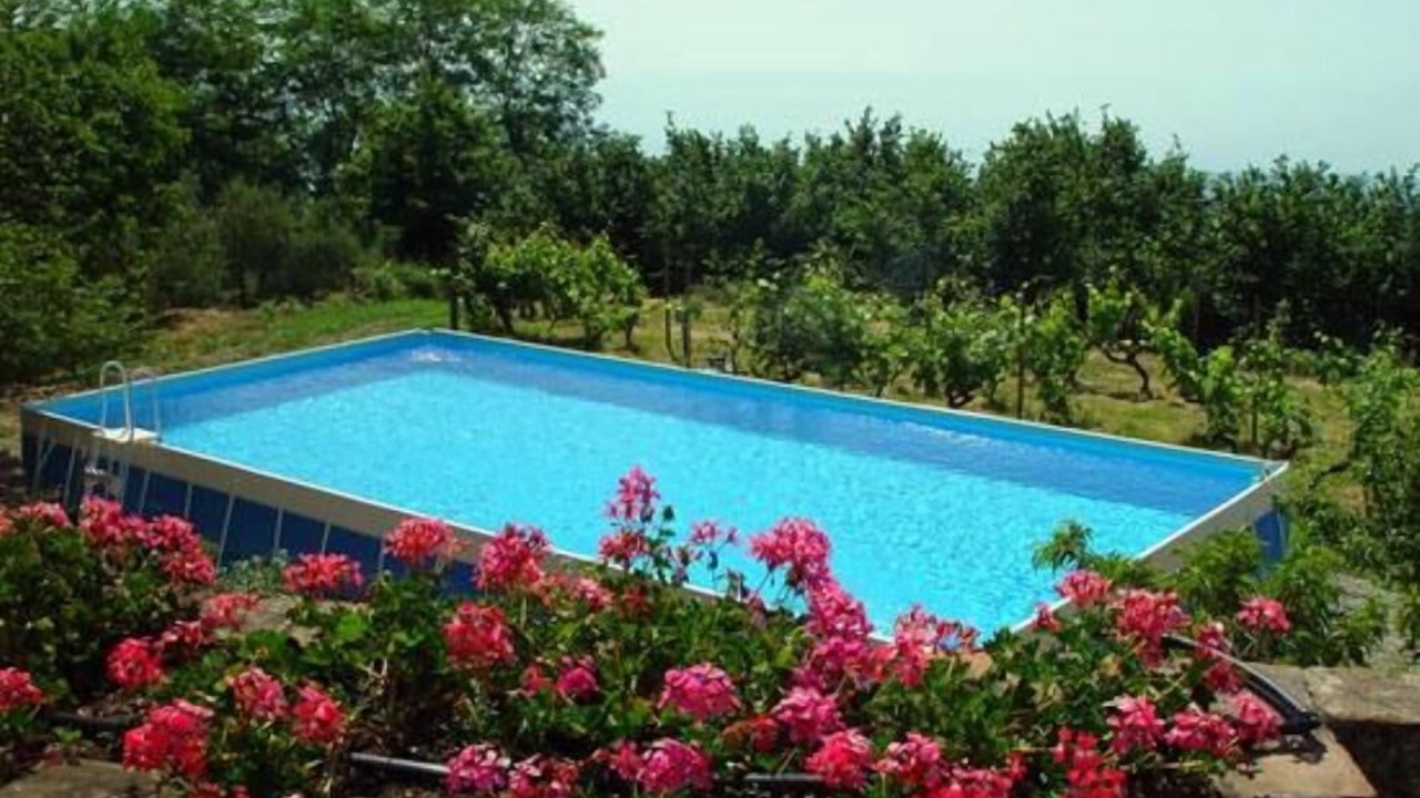 Photo of Outdoor in Milo