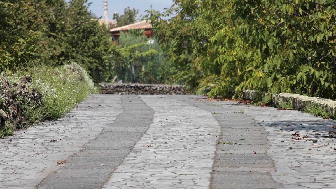 Photo of Outdoor in Milo