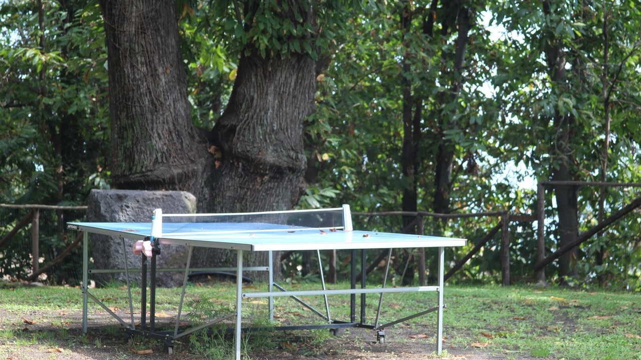 Photo of Outdoor in Milo