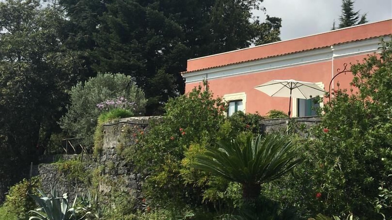 Photo of Outdoor in Milo