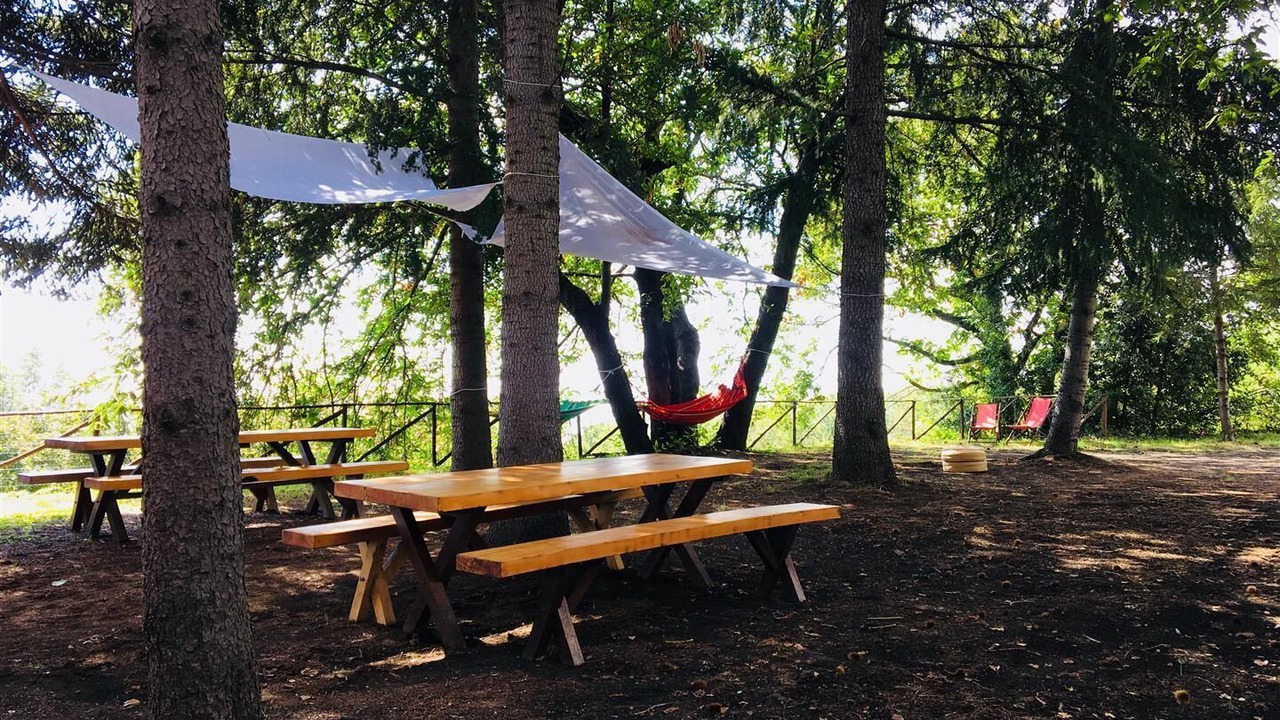 Photo of Outdoor in Milo