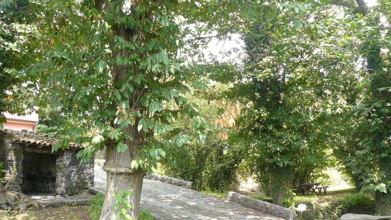 Photo of Outdoor in Milo