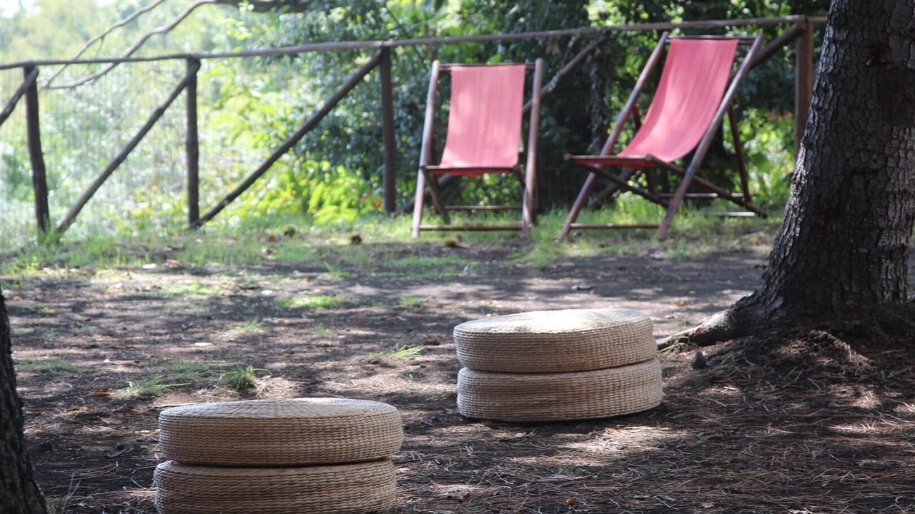 Photo of Outdoor in Milo