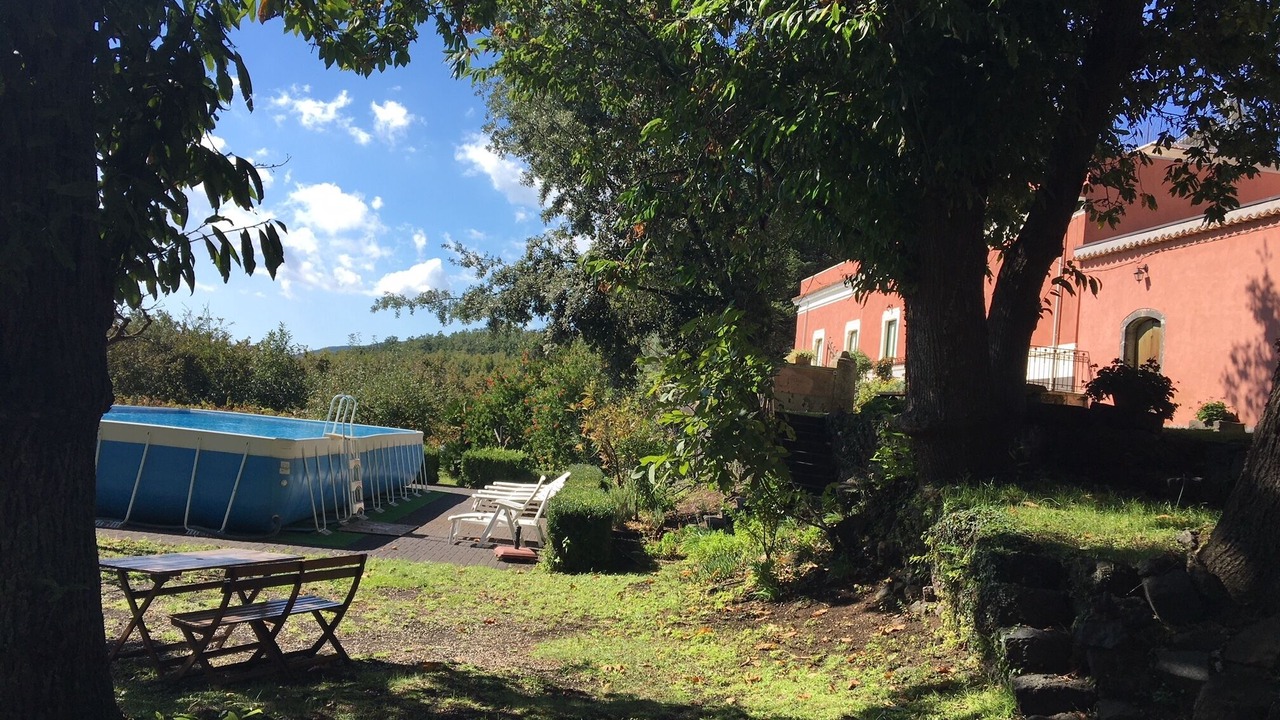 Photo of Outdoor in Milo