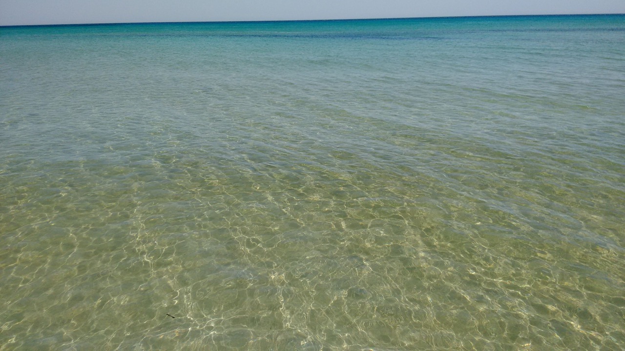 Photo of Others in Noto Marina