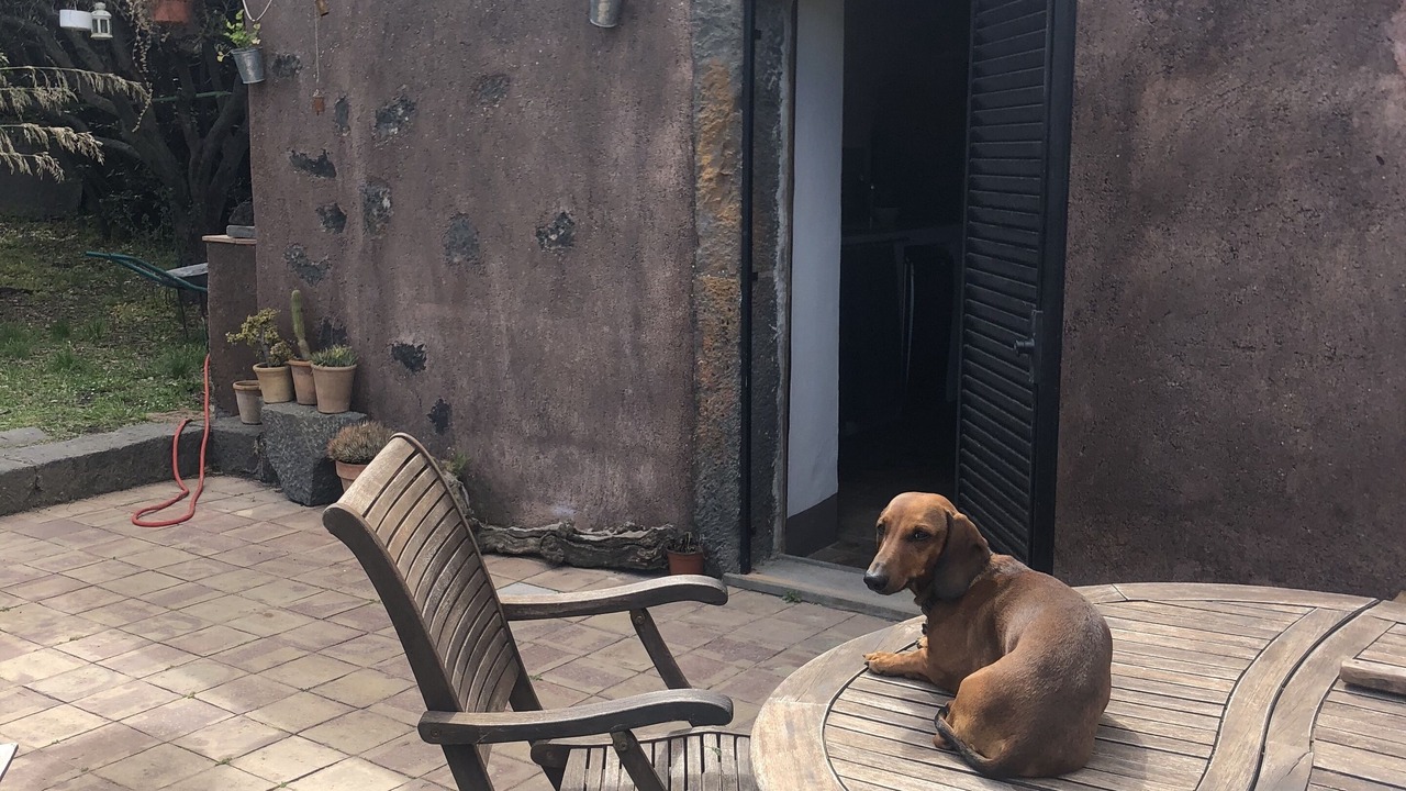 Photo of Outdoor in Piedimonte Etneo