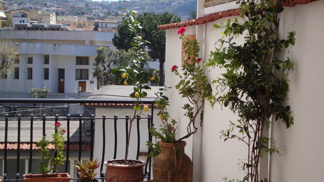 Photo of Patio Balcony in Meta