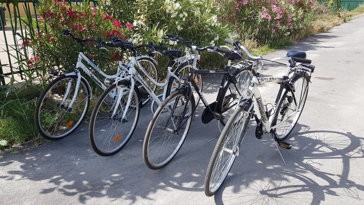 Photo of Outdoor in Villaggio Mose