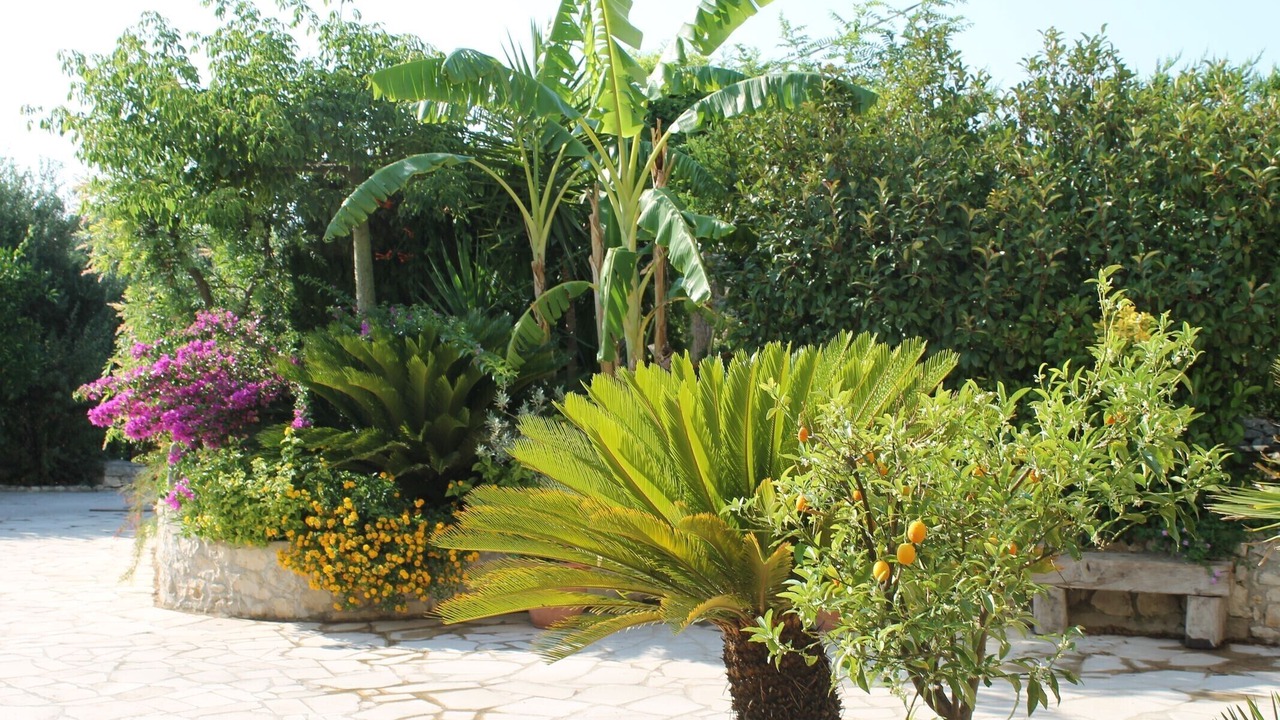 Photo of Outdoor in Modica