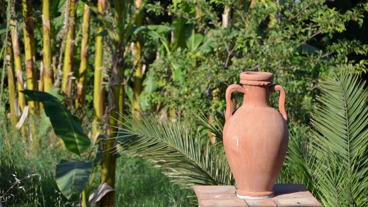 Photo of Outdoor in Coste