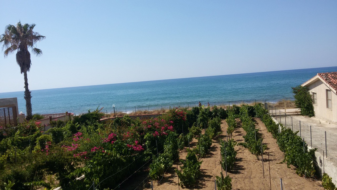 Photo of Others in Marina di Modica