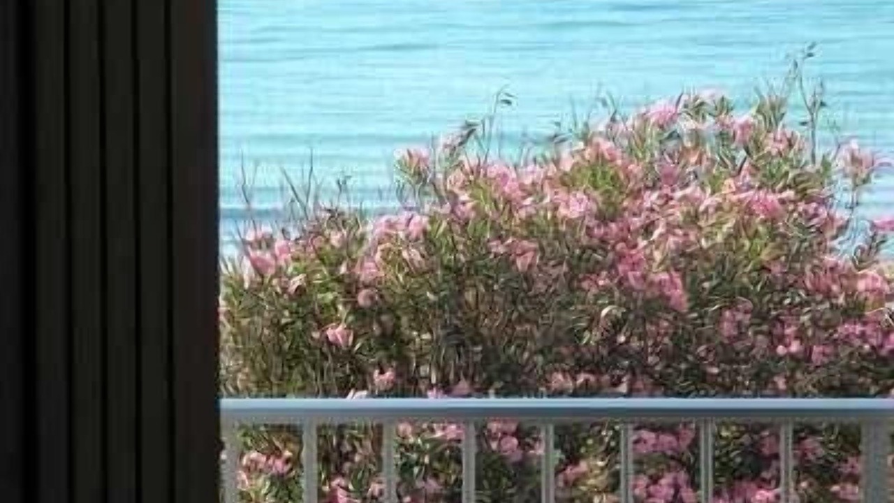 Photo of Others in Marina di Modica