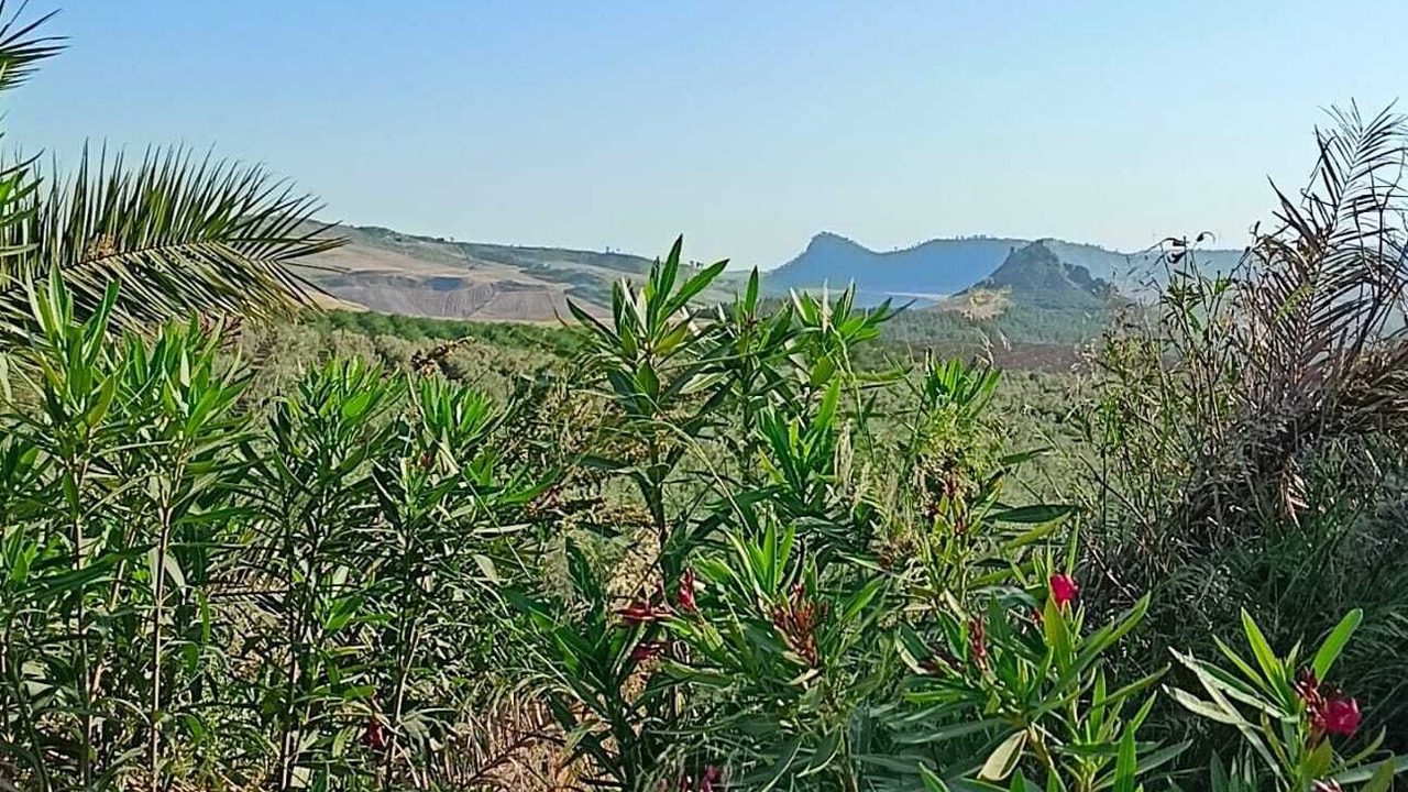Photo of Outdoor in Mazzarino