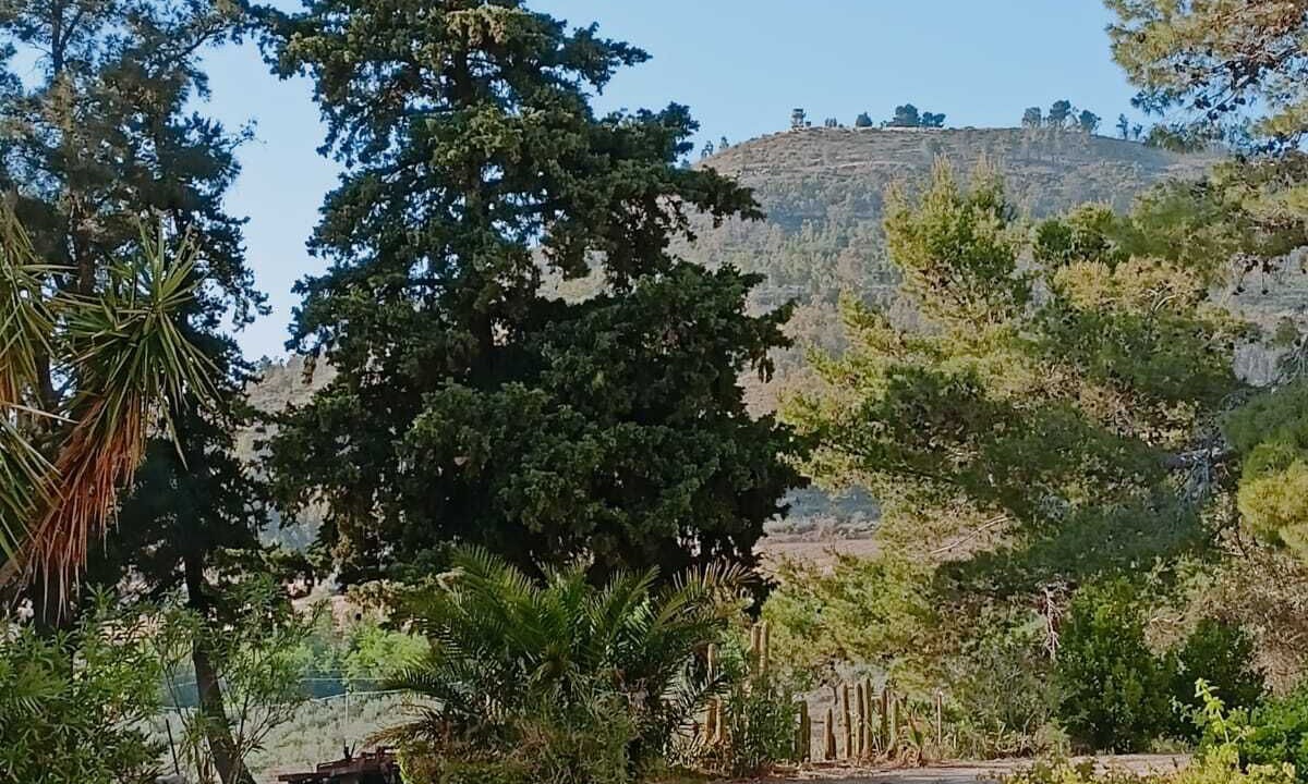 Photo of Outdoor in Mazzarino