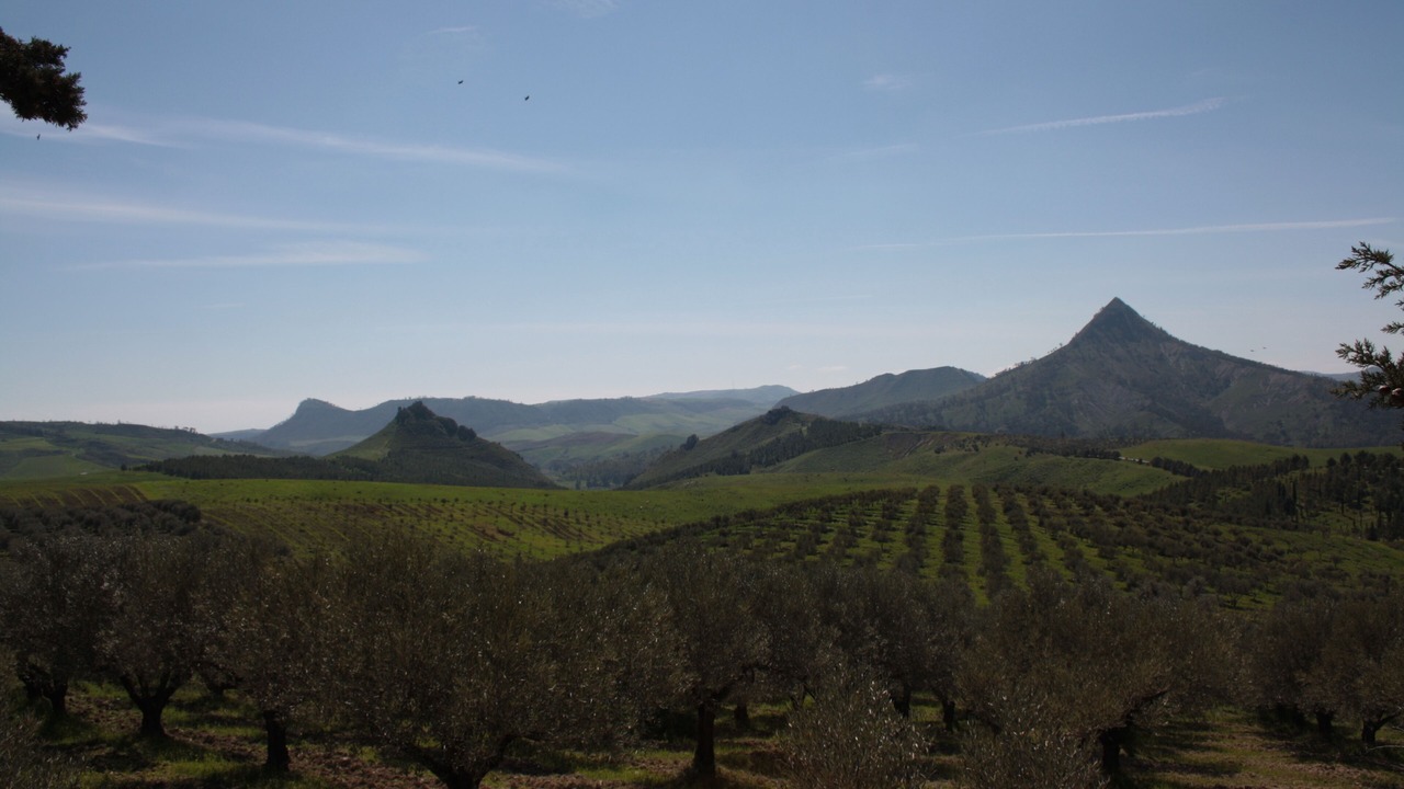 Photo of Outdoor in Mazzarino