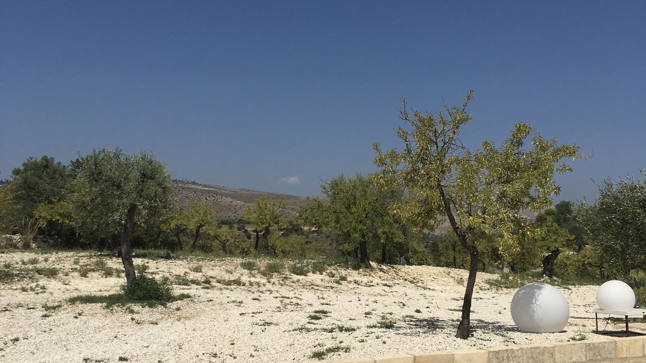 Photo of Outdoor in Avola