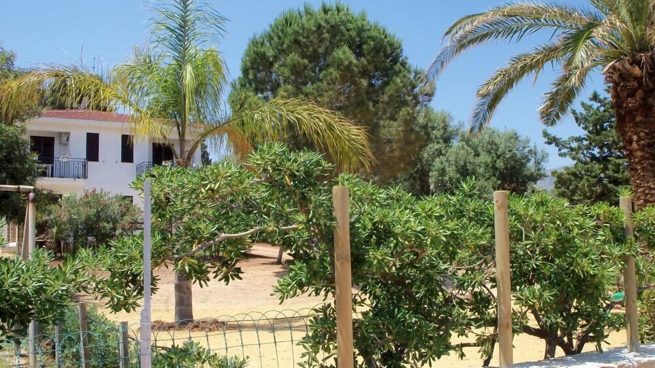 Photo of Others in Scopello