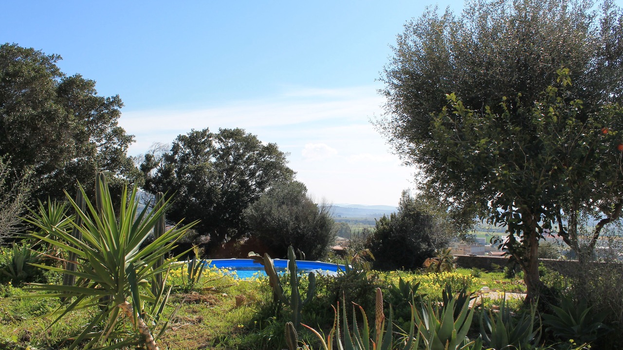 Photo of Outdoor in Erice
