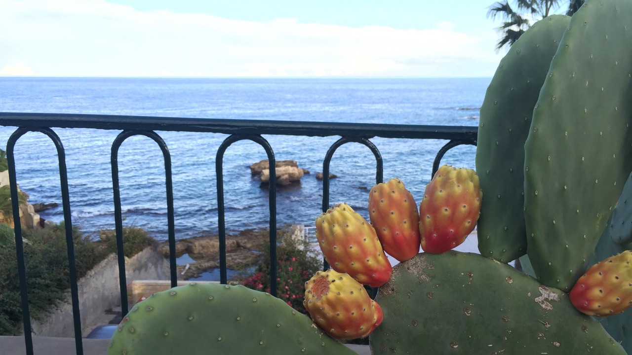Photo of Outdoor in Santa Lucia