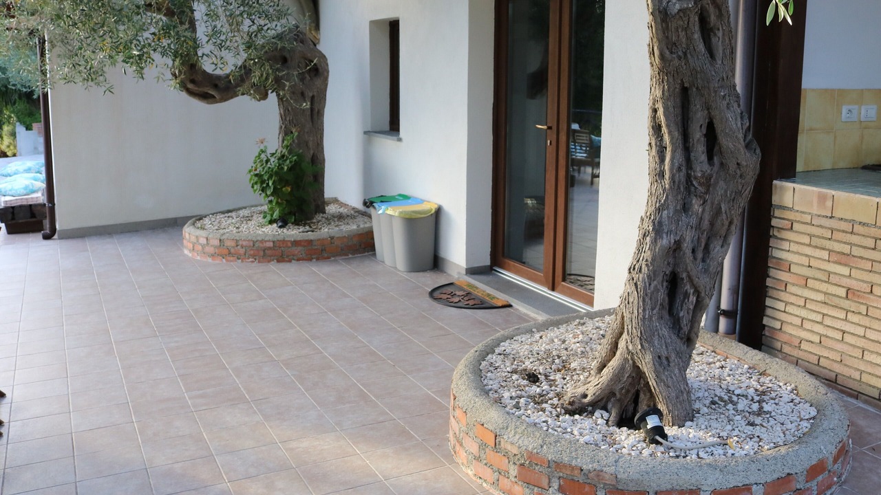 Photo of Outdoor in Savoca