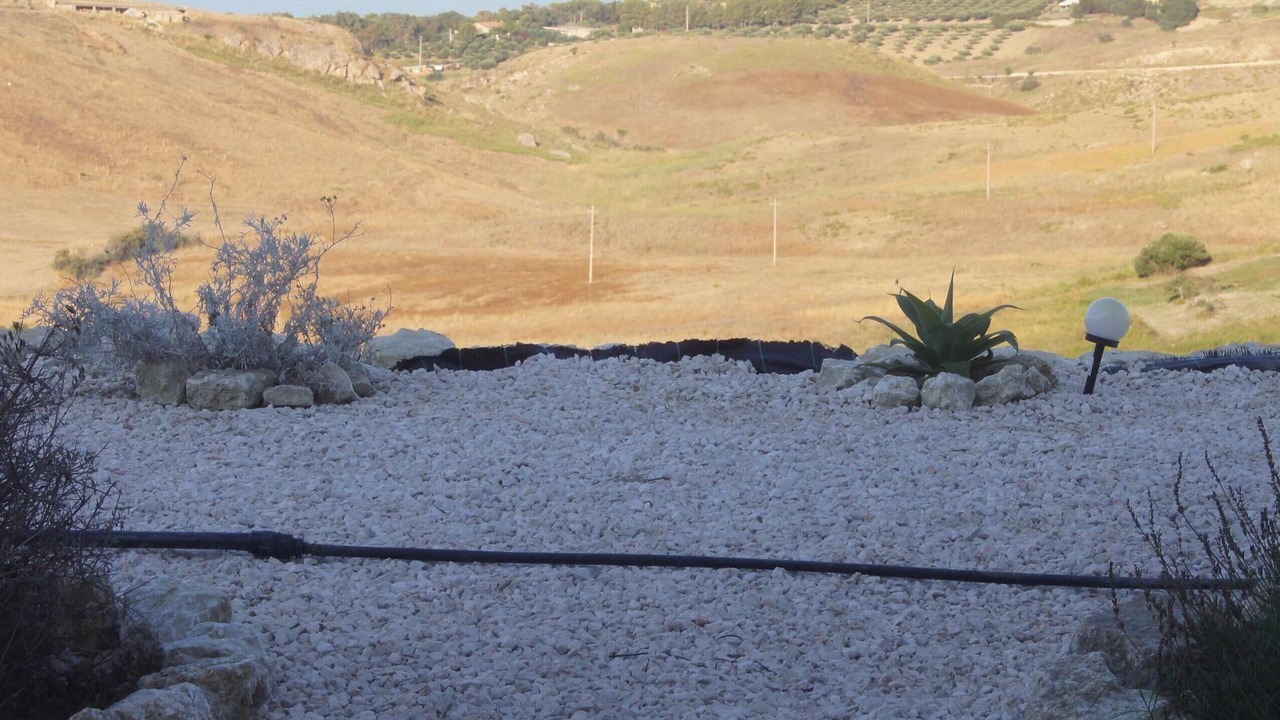 Photo of Outdoor in Cattolica Eraclea