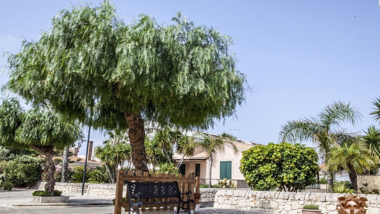 Photo of Outdoor in Marina di Modica