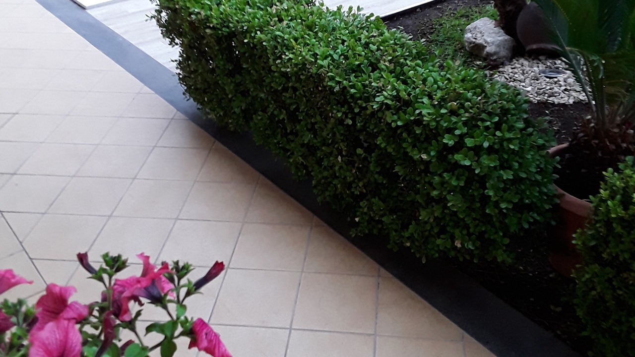 Photo of Outdoor in Santa Venerina