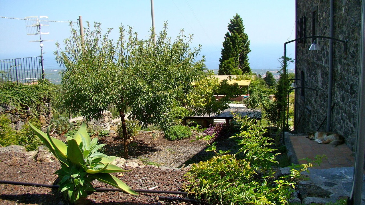Photo of Outdoor in Mascali