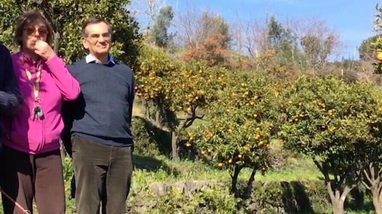 Photo of Outdoor in Mascali