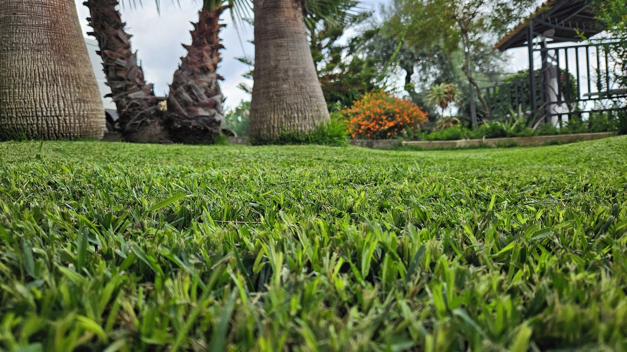 Photo of Outdoor in Cassaro