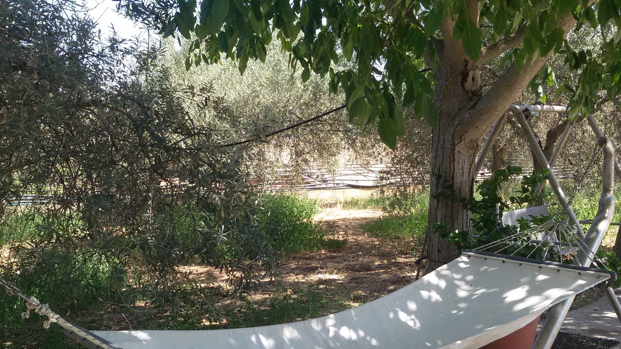 Photo of Outdoor in Cassaro