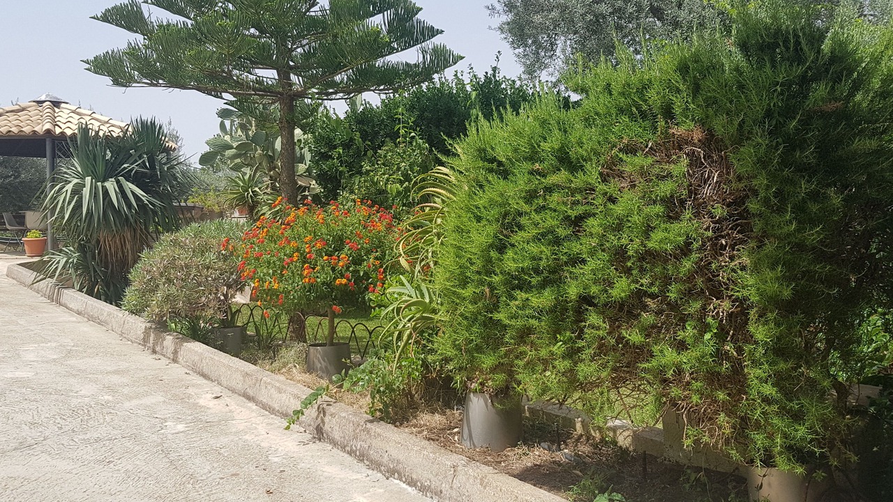 Photo of Outdoor in Cassaro
