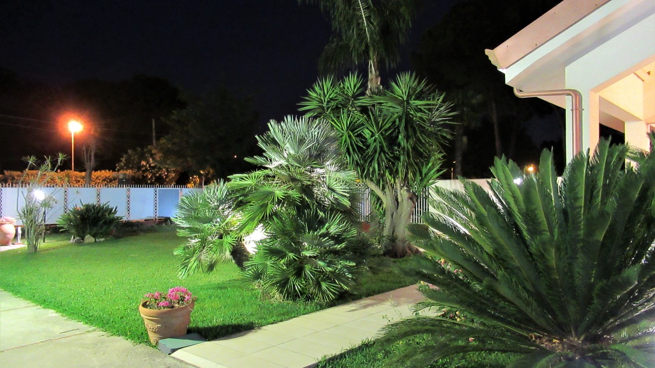 Photo of Outdoor in Palermo