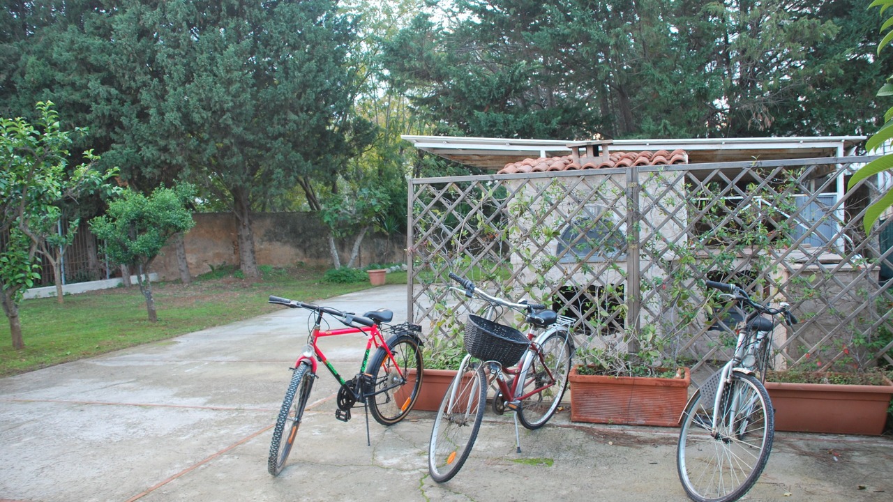 Photo of Outdoor in Palermo