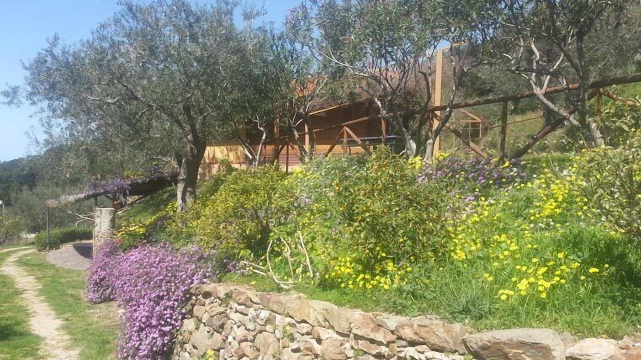 Photo of Outdoor in Capri Leone