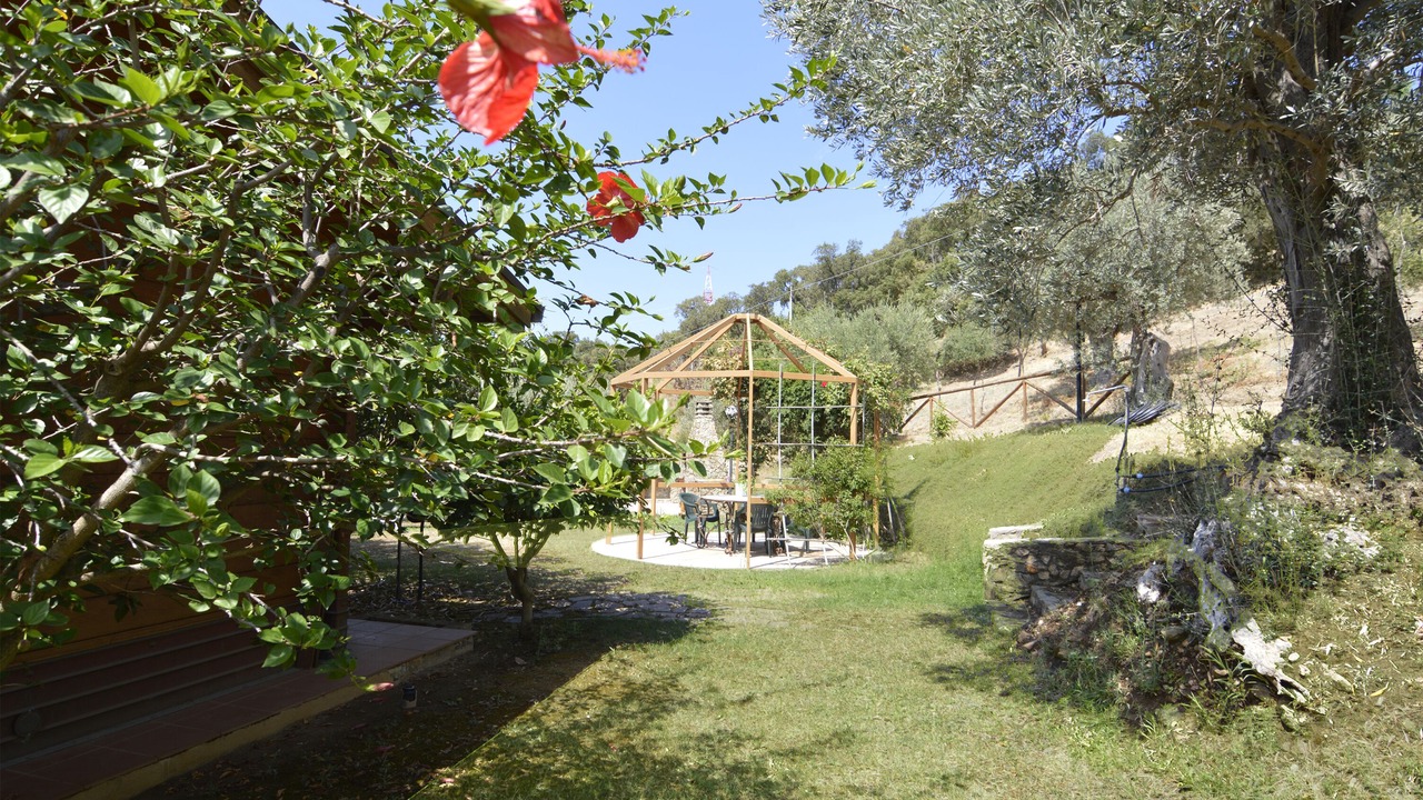 Photo of Outdoor in Capri Leone