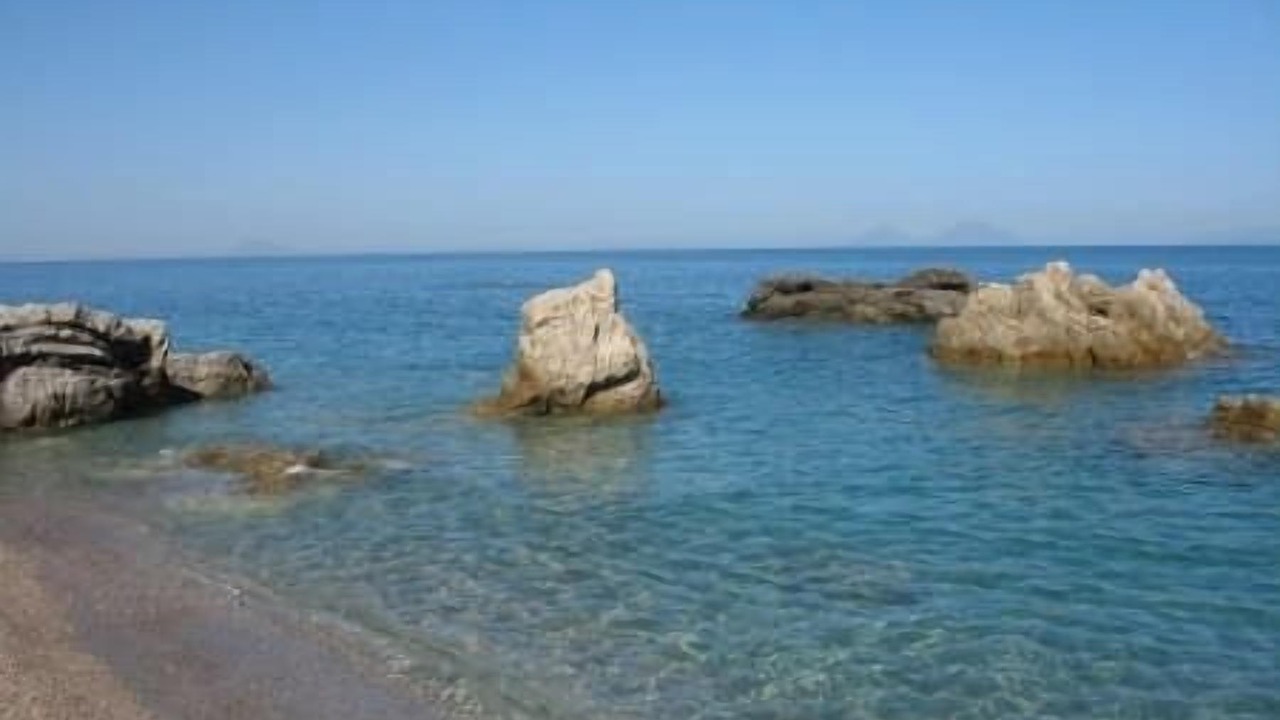 Photo of Others in Capri Leone