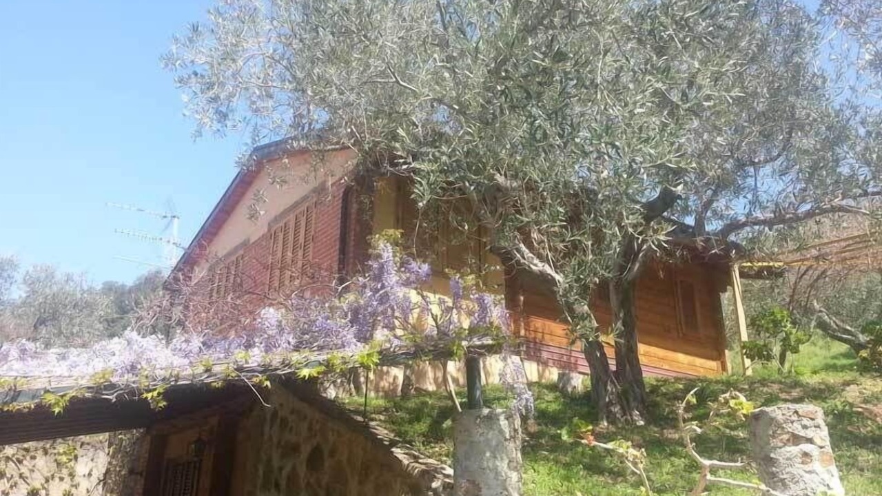 Photo of Outdoor in Capri Leone