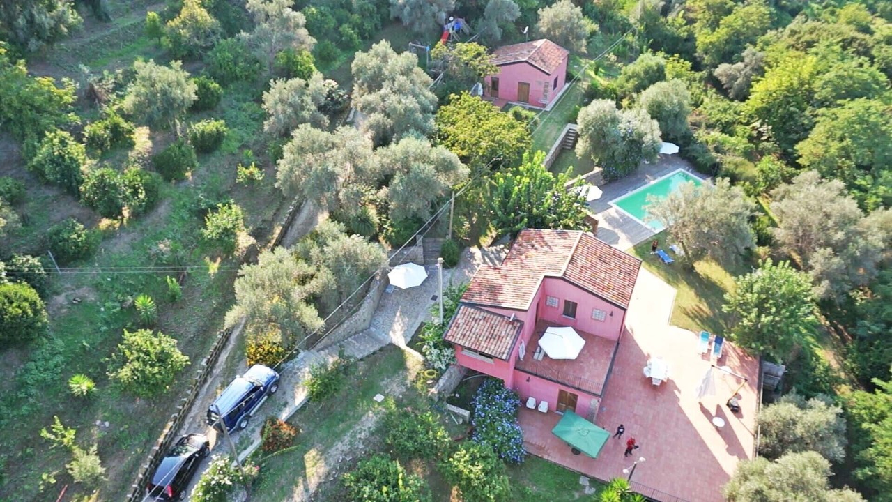Photo of Outdoor in Mirto