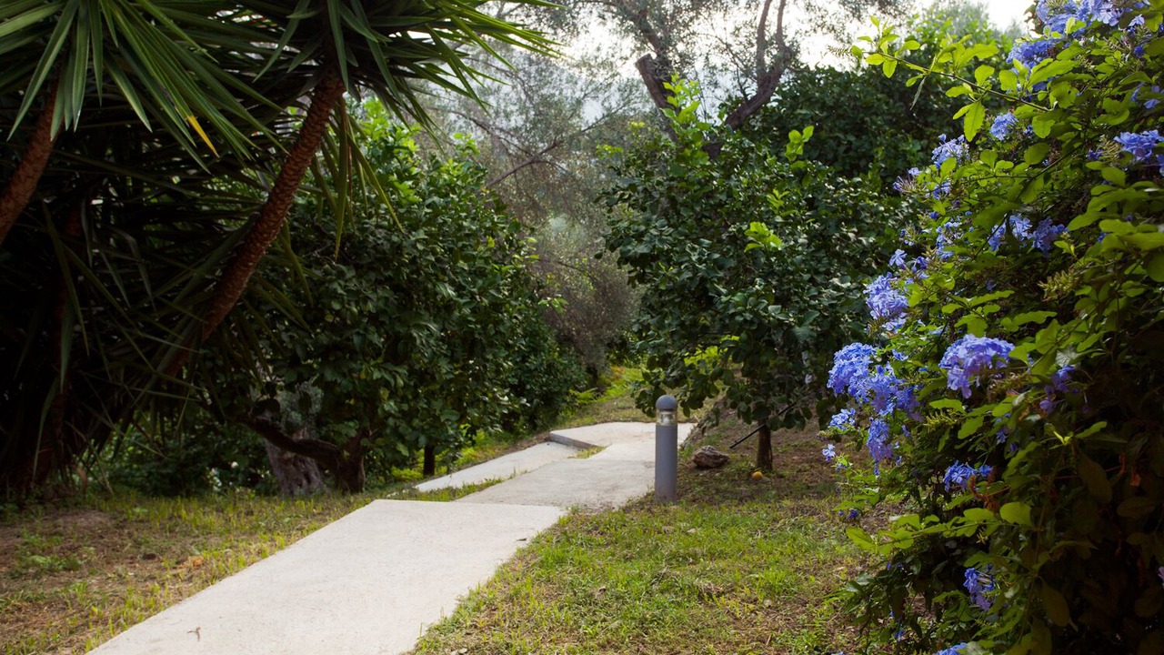 Photo of Outdoor in Mirto