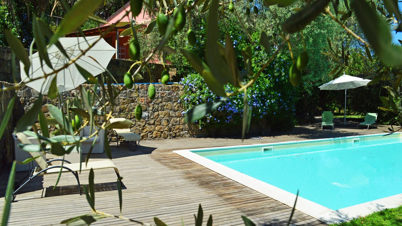 Photo of Outdoor in Mirto