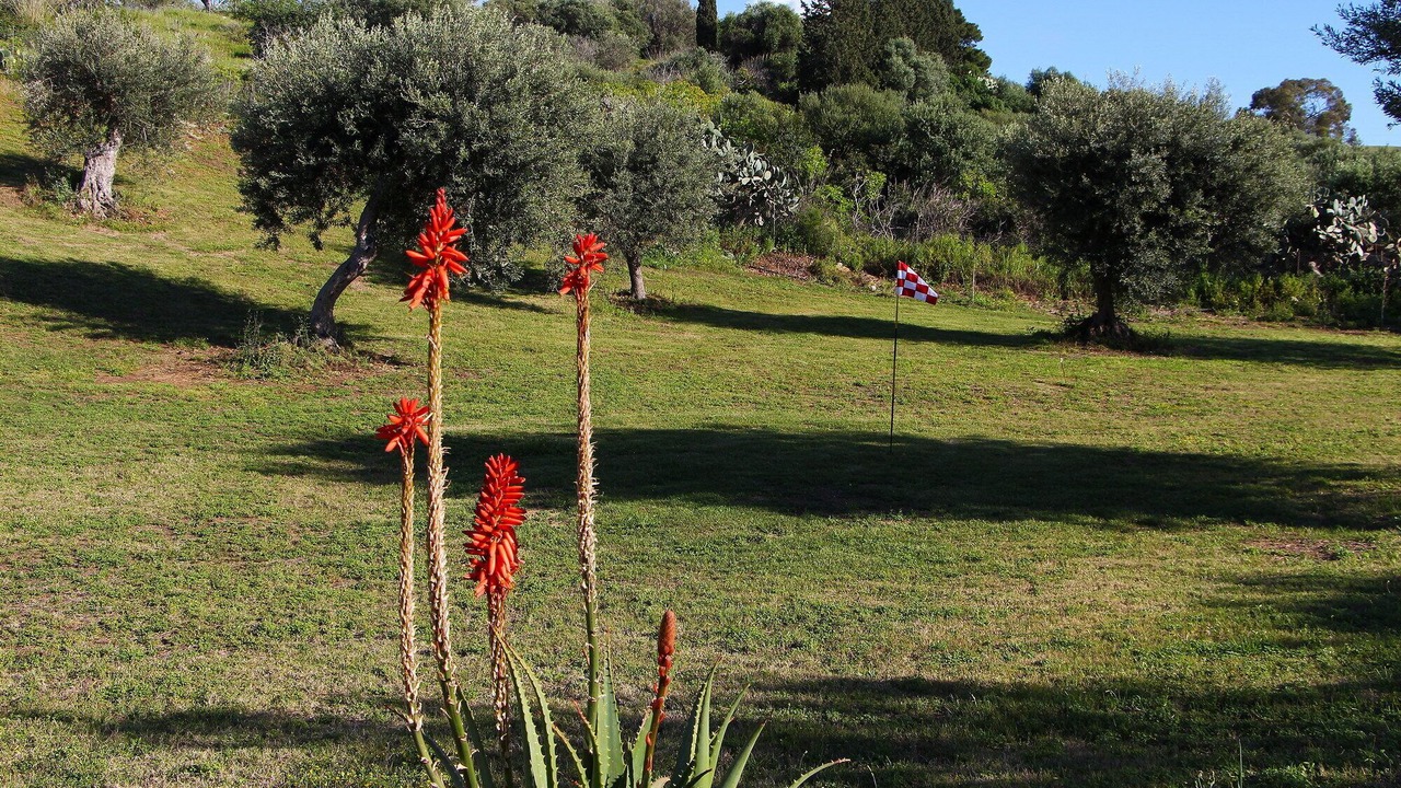 Photo of Outdoor in Campofelice di Roccella