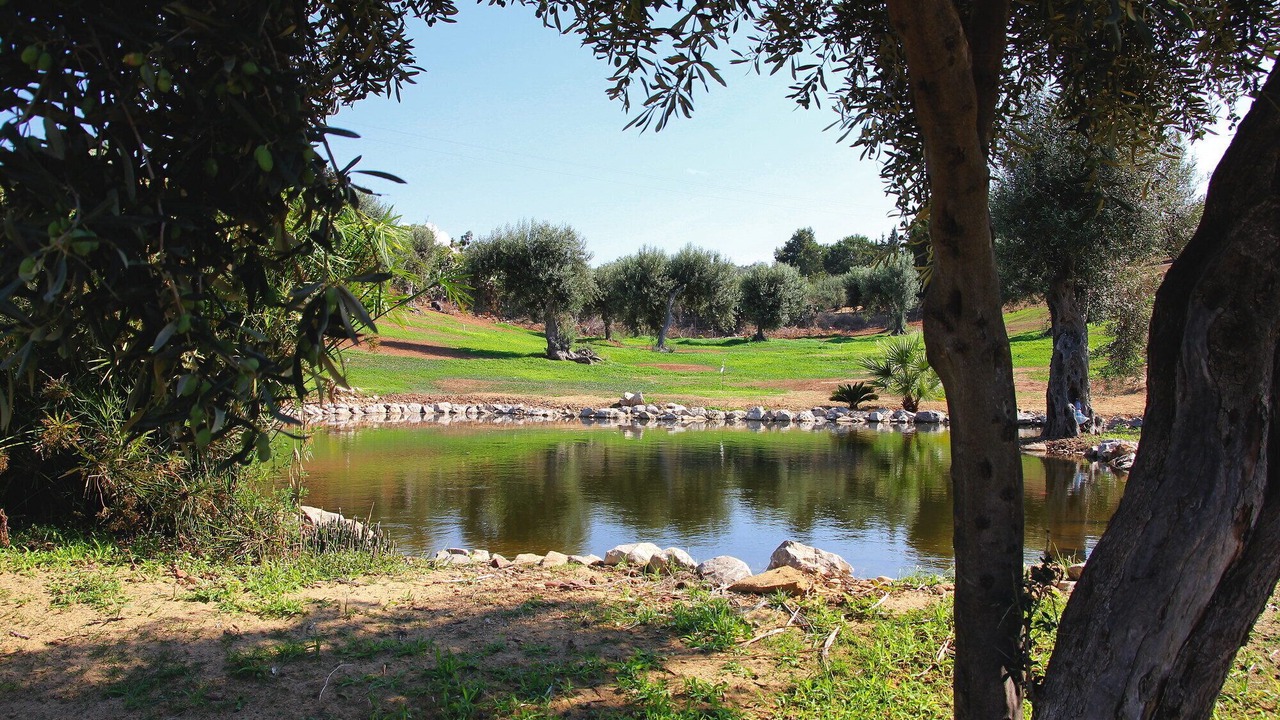 Photo of Outdoor in Campofelice di Roccella