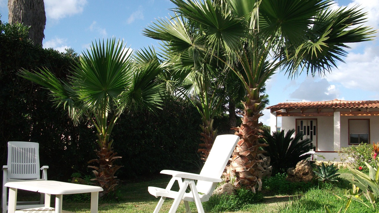Photo of Outdoor in San Lorenzo