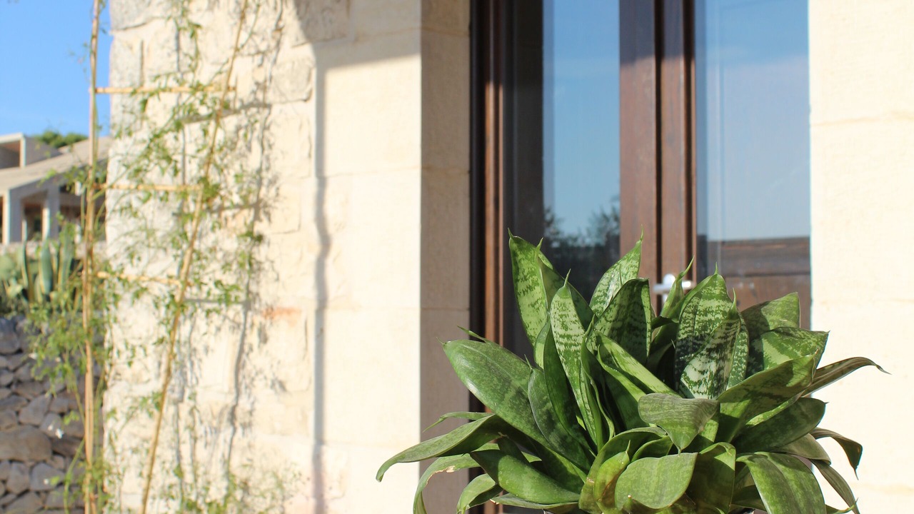 Photo of Outdoor in Modica
