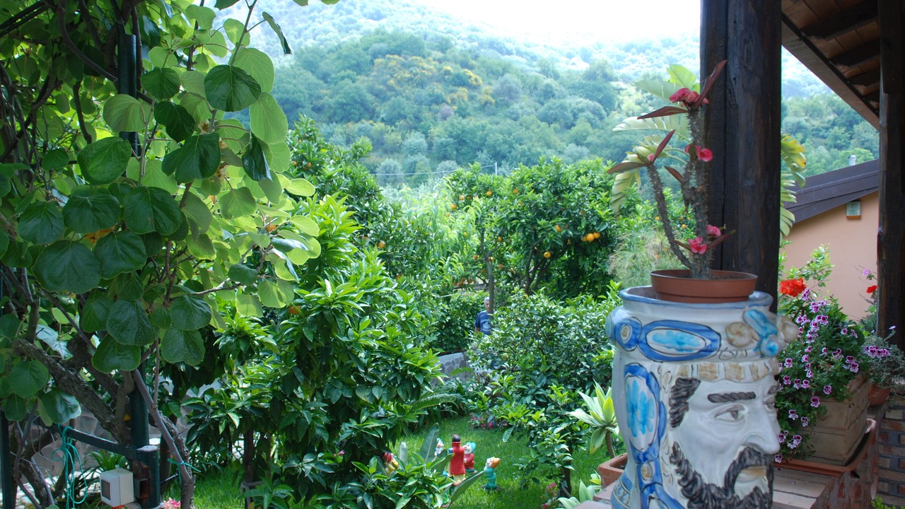 Photo of Outdoor in Gaggi